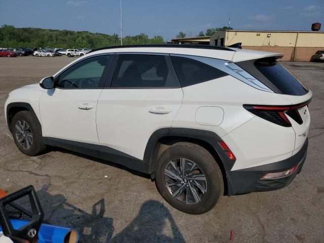 2022 HYUNDAI TUCSON BLU KM8JBCA12NU040664