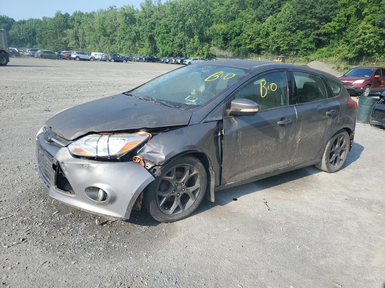 FORD FOCUS SE