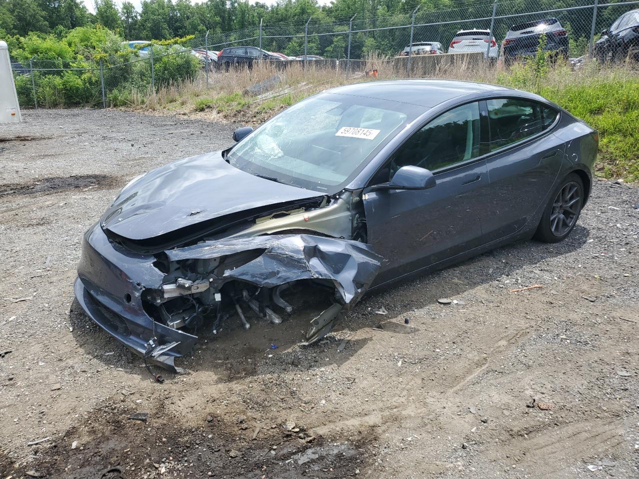 Lot #3302910061 2023 TESLA MODEL 3