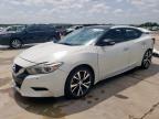 2017 NISSAN MAXIMA 3.5 - 1N4AA6AP4HC391461