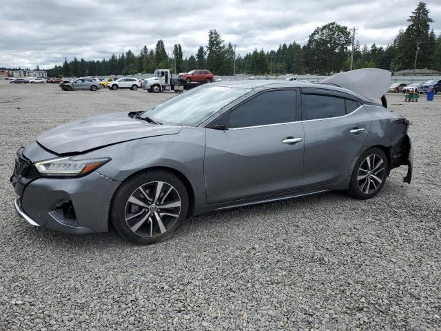 NISSAN MAXIMA SV