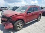 Lot #3303739436 2008 FORD ESCAPE XLT
