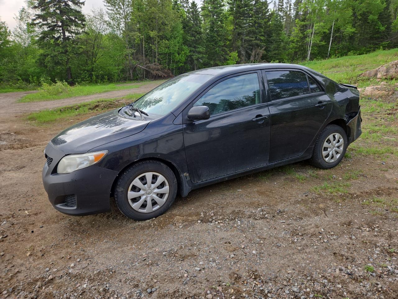 TOYOTA COROLLA BASE