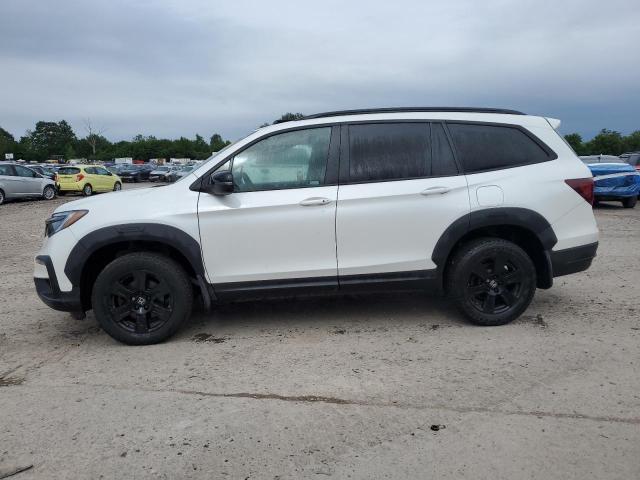 2022 HONDA PILOT TRAI 5FNYF6H83NB096407