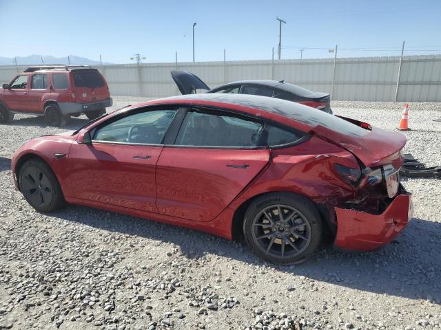 2023 TESLA MODEL 3 #3291610239