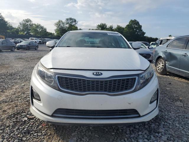 2016 KIA OPTIMA HYB KNAGM4AD7G5092360
