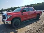 2021 TOYOTA TUNDRA CRE - 5TFDY5F16MX019916