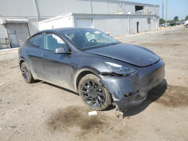 2024 TESLA MODEL Y - 7SAYGDEE9RF065439