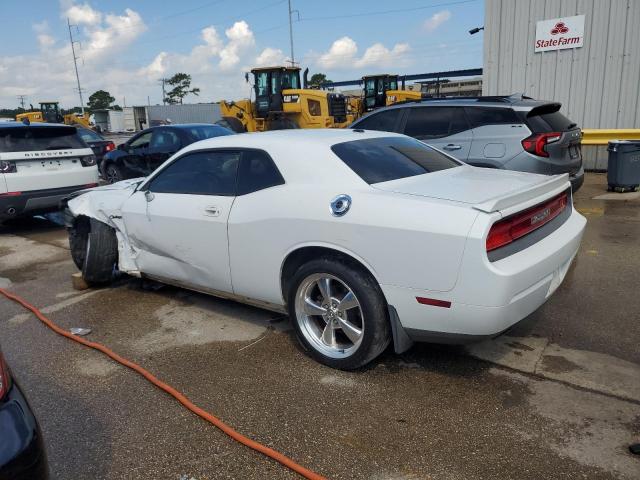 Vin: 2b3cj5dt9ah315048, lot: 61444455, dodge challenger r/t 20102
