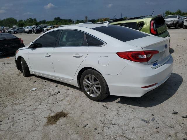 2016 HYUNDAI SONATA SE - 5NPE24AF1GH352656