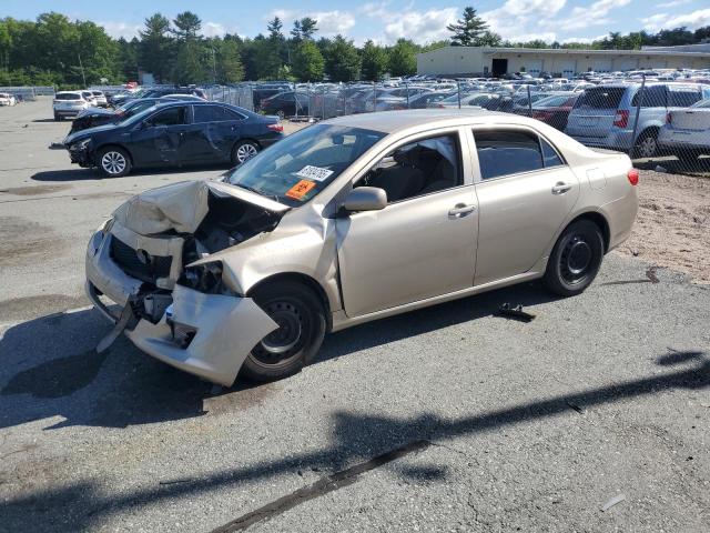 Vin: 2t1bu4ee4ac321362, lot: 61834765, toyota corolla base 2010 img_1