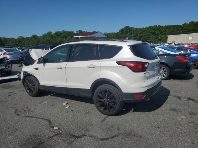 2019 FORD ESCAPE SE - 1FMCU9GD1KUC55973