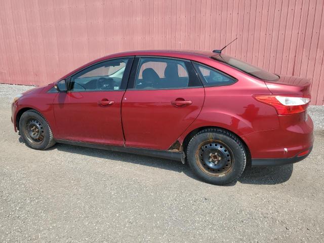 Vin: 1fadp3f28dl299237, lot: 60546235, ford focus se 20132