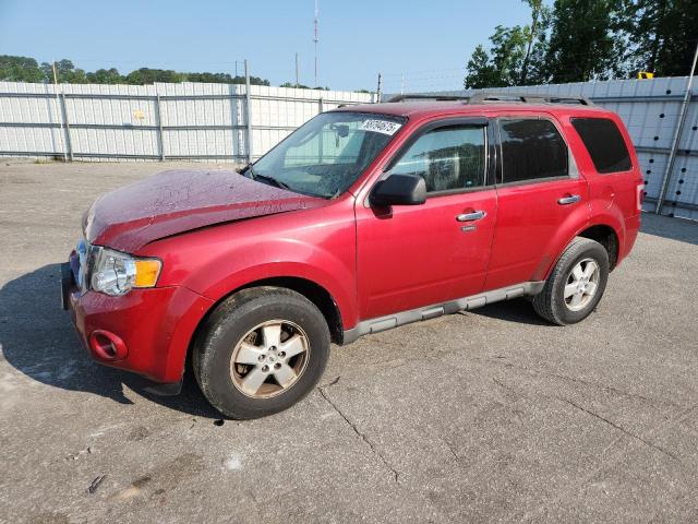 Vin: 1fmcu0d70akc81808, lot: 58794675, ford escape xlt 2010 img_1