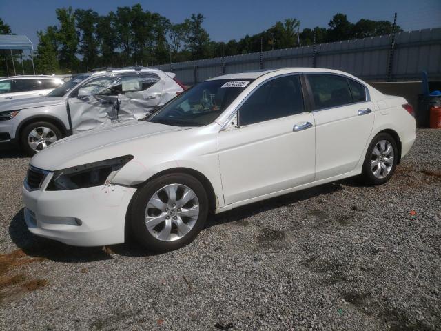 Vin: 5kbcp3f81ab016607, lot: 60242205, honda accord exl 2010 img_1