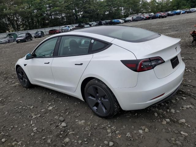 Vin: 5yj3e1ea3pf574626, lot: 61131145, tesla model 3 20232