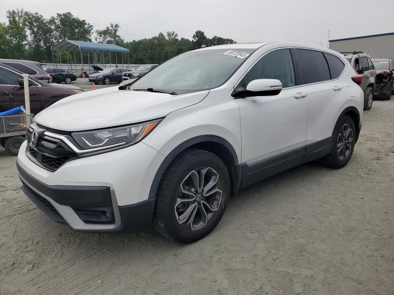 HONDA CR-V EX