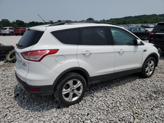 2013 FORD ESCAPE SE - 1FMCU0GX8DUD36395