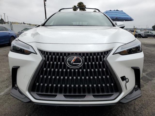 2023 LEXUS NX 250 JTJADCAZ5P5011769