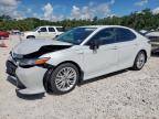 2020 TOYOTA CAMRY XLE - 4T1F31AK2LU532172