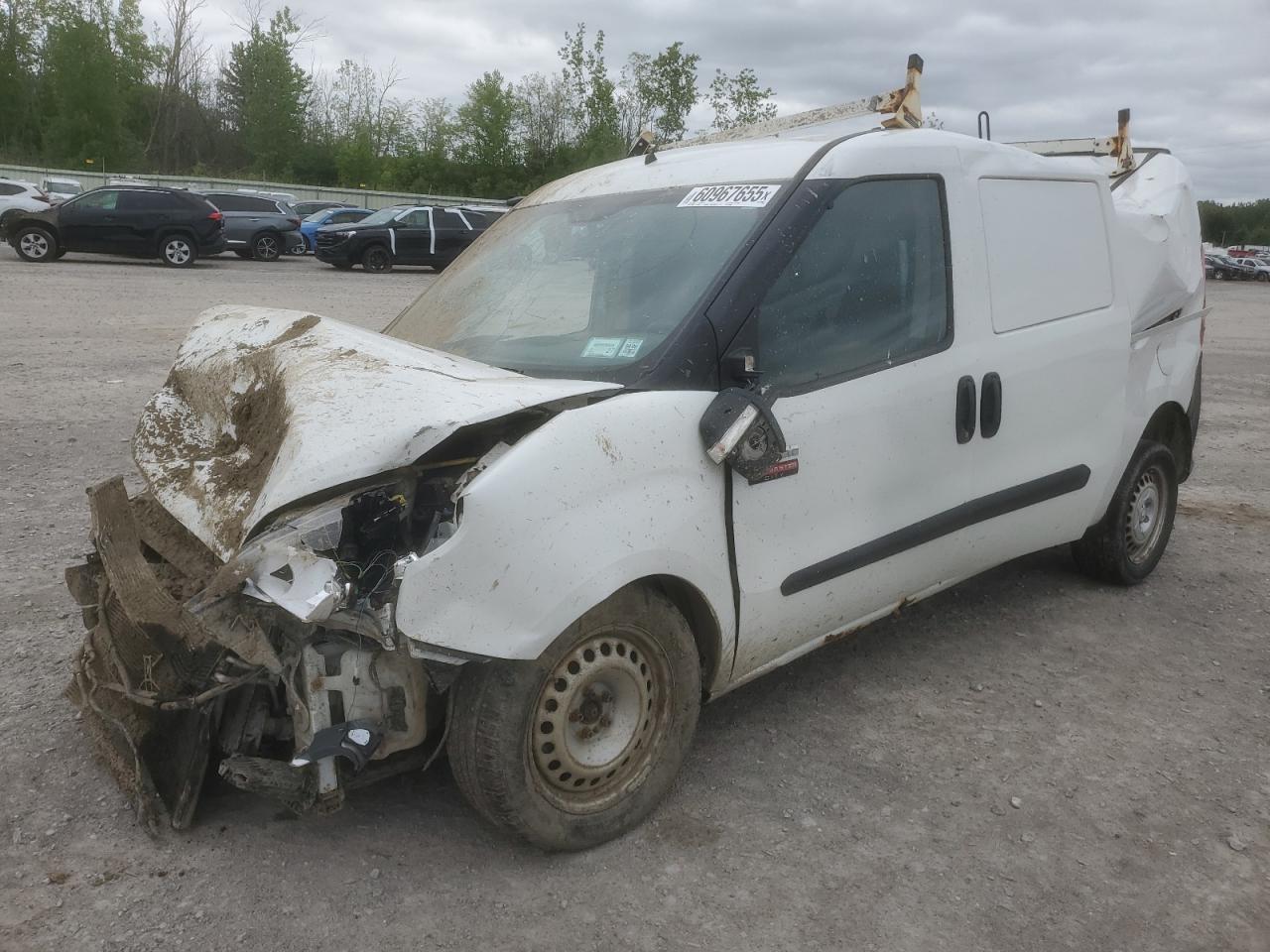 RAM PROMASTER