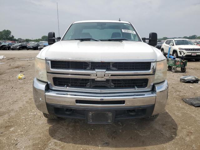 2010 CHEVROLET SILVERADO - 1GC5K0BG6AZ197408
