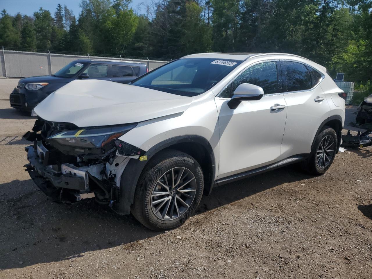 LEXUS NX 450H LUXURY
