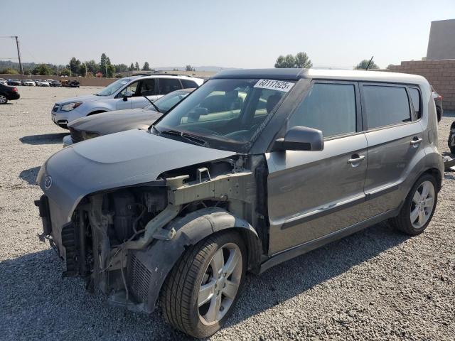 KIA SOUL +