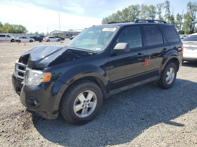 Vin: 1fmcu9d74cka15103, lot: 59285835, ford escape xlt 2012 img_1