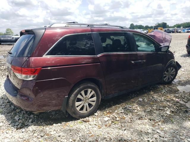 Vin: 5fnrl5h64fb067389, lot: 61171905, honda all models exl 20153