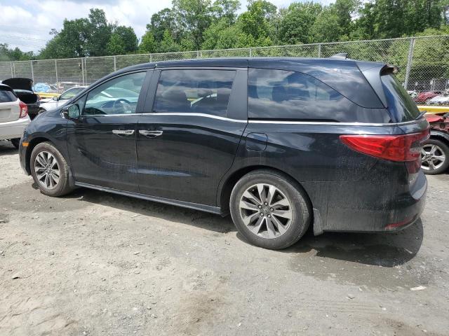 Vin: 5fnrl6h78mb023777, lot: 59728035, honda all models exl 20212