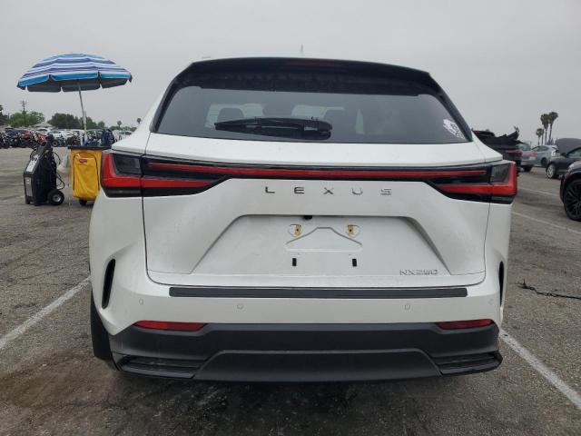 2025 LEXUS NX 250 PRE JTJGDCAZ6S2025006