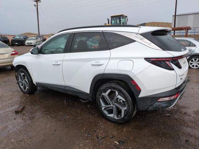 2023 HYUNDAI TUSCON 5NMJECAE7PH235538
