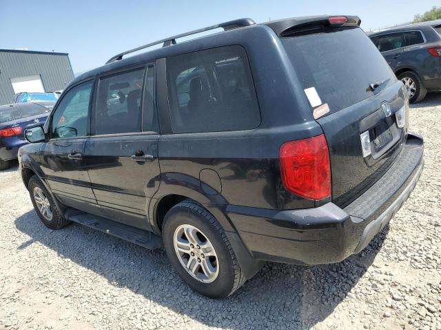 HONDA PILOT EXL 2005 black 4dr spor gas 2HKYF18665H508208 photo #3