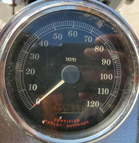 2001 HARLEY-DAVIDSON FLSTCI 1HD1BWB141Y069444