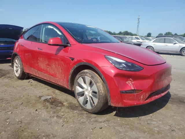 2023 TESLA MODEL Y 7SAYGDEE9PF707641