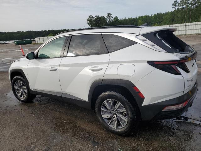 Vin: km8jbca19nu031329, lot: 60262375, hyundai tucson blue 20222