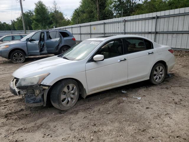 Vin: 5kbcp3f88ab017799, lot: 62156105, honda accord exl 2010 img_1