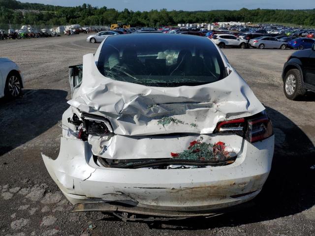 2023 TESLA MODEL 3 5YJ3E1EA5PF567354