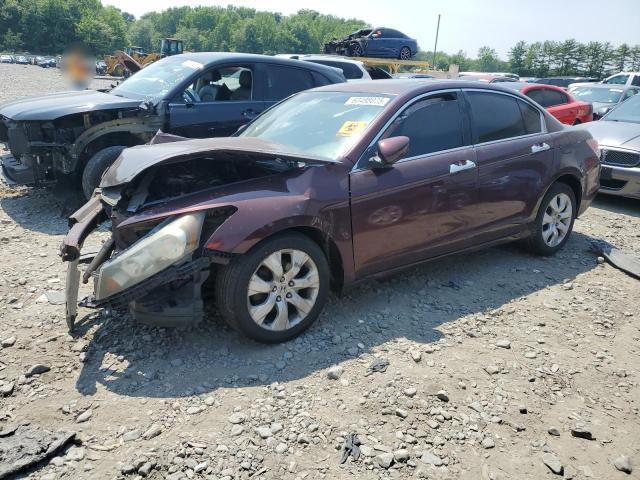 Vin: 5kbcp3f86ab007787, lot: 60488075, honda accord exl 2010 img_1