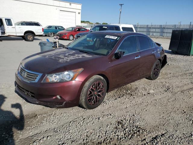 HONDA ACCORD EXL