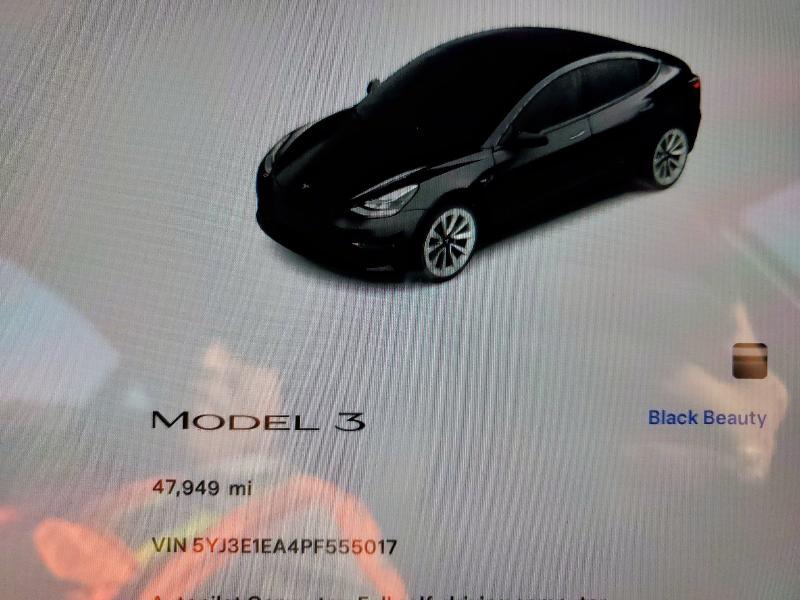 2023 TESLA MODEL 3 - 5YJ3E1EA4PF555017