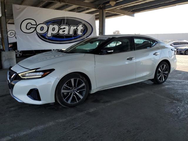 Vin: 1n4aa6cv2pc511770, lot: 62664065, nissan maxima sv 2023 img_1