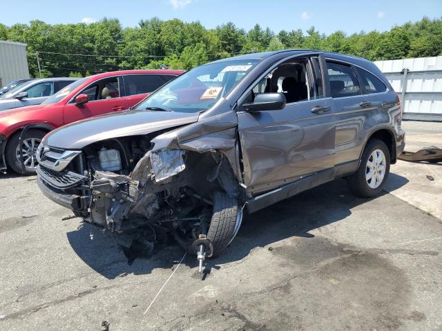 Vin: 5j6re4h48bl095717, lot: 61551825, honda crv se 2011 img_1