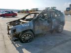 2020 JEEP CHEROKEE L - 1C4PJLLBXLD580753
