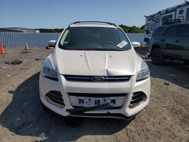 2016 FORD ESCAPE TIT - 1FMCU9J92GUA25029