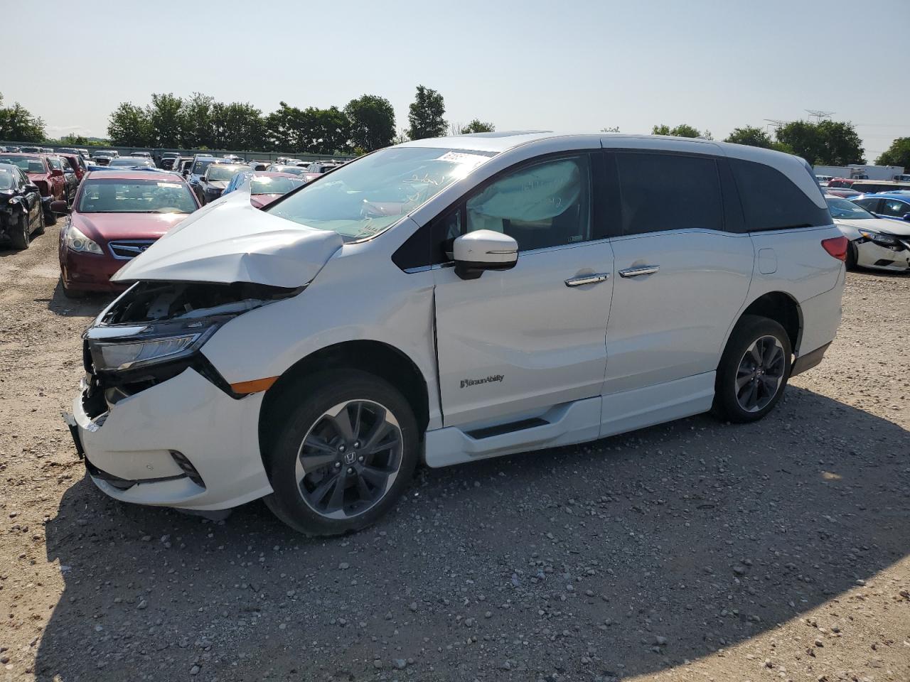 HONDA ODYSSEY ELITE