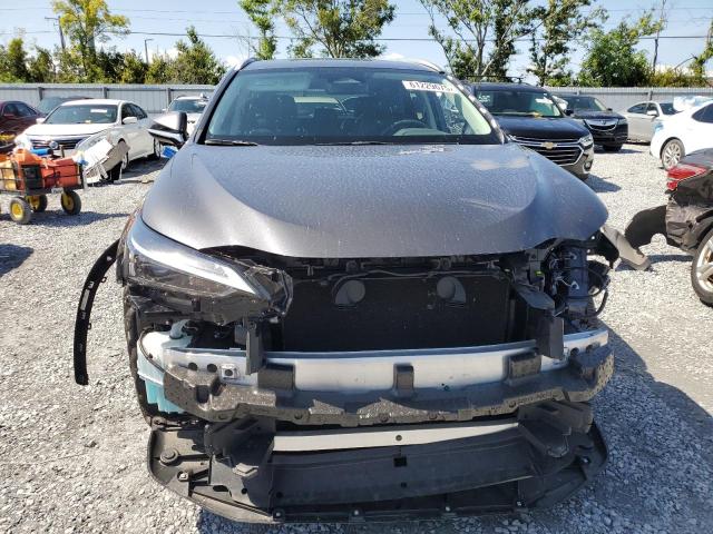 2025 LEXUS NX 250 PRE 2T2GDCAZ4SC021438