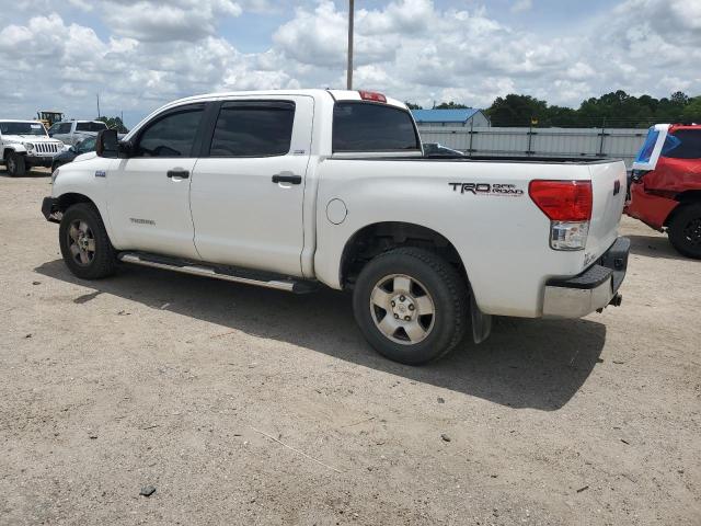 Vin: 5tfey5f17ax078389, lot: 60619905, toyota tundra crewmax sr5 20102