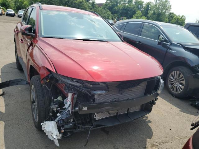 2025 HYUNDAI TUCSON SEL - 5NMJBCDEXSH455253